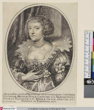 Amalia Dei Gratia Principissa Arausionensium