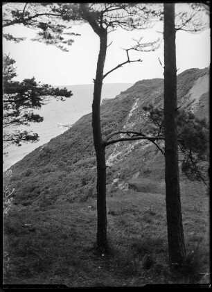 Blick auf Steilufer