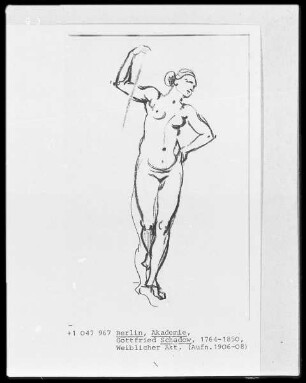 Weiblicher Akt