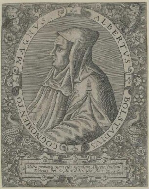 Bildnis des Albertus Magnus