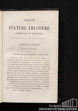 Abricotier (Prunus armeniaca)