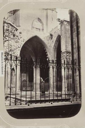 Bellezas de Barcelona — Cláustros de la Catedral & Kreuzgang der Catedral de la Santa Cruz y Santa Eulàlia
