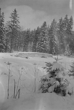 Zinnwald-Georgenfeld. Brücke und Wald im Winter