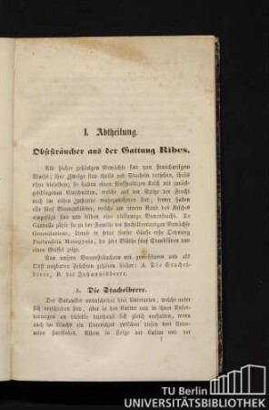 I. Abtheilung. Obststräucher aus der Gattung Ribes.