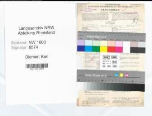 Entnazifizierung Karl Diemer, geb. 17.02.1898 (Arzt)