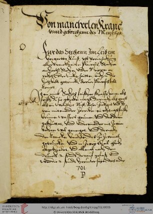 Richard von Pfalz-Simmern, Medizinische Rezeptsammlung (163 Rezepte)