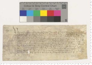 Dem Propste Magister Johannes Koller präsentiert der Senior Diffinitor der Kalandsbrüderschaft für eine Vikarie am Mattias und Bartolomei Altar zu St. Johannis den Theod. Wegener [lat].