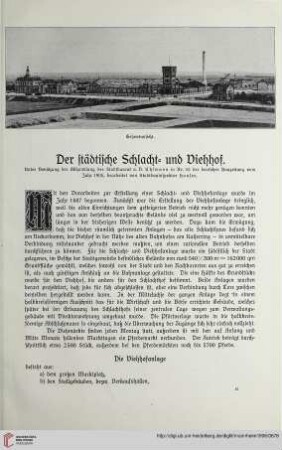 Der städtische Schlacht= und Viehhof