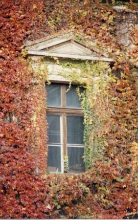 Dresden-Altstadt. Wiederaufbau des Taschenbergpalais, aufgenommen November 1992