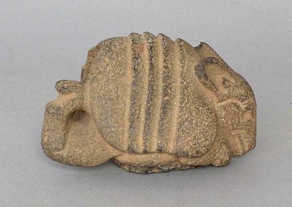 Armadillo