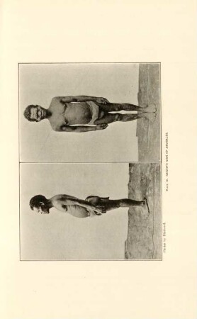 Plate IX. Negrito man of Zambales