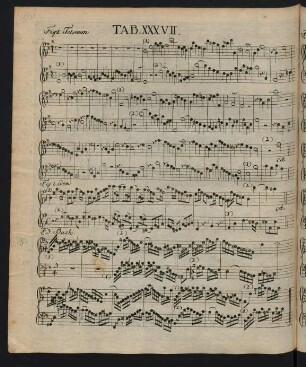 Tab. XXXVII