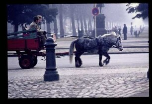 Pferdefuhrwerke 28.2.76.