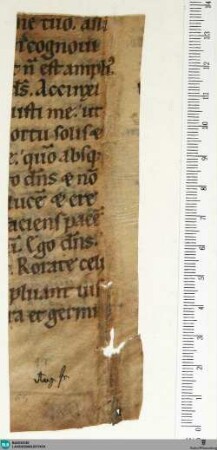 Aus Breviarium, Fragment - Cod. Aug. Fr. 55