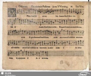 18. Amen amen dico vobis