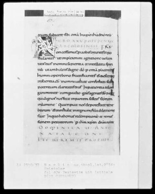 Epistolar aus Trier — Initiale N(ON CESSAMUS), Folio 40verso
