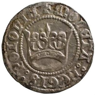 Münze, Kwartnik, 1501/1506