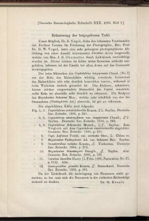 Erläuterung der beigegebenen Tafel