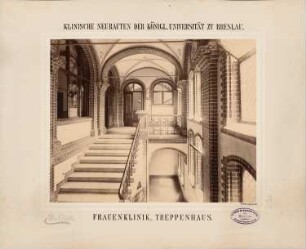 Universität Breslau Klinische Neubauten. Frauenklinik: Treppenhaus