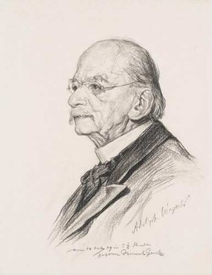 Bildnis Wagner, Adolph (1835-1917), Nationalökonom, Finanzwissenschaftler, Volkswirt, Wirtschaftswissenschaftler