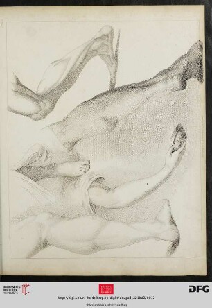 Plate 9. [Beine, Arm, Fuß]