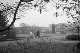 Winterstimmung im Botanischen Garten