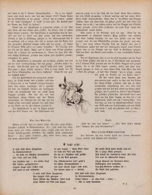 "Der Wünschelklee"