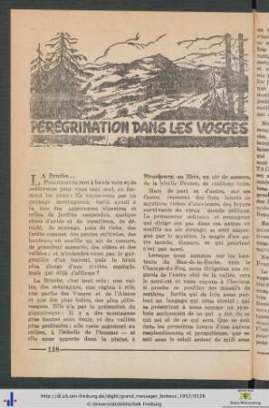 Peregrination dans les Vosges.