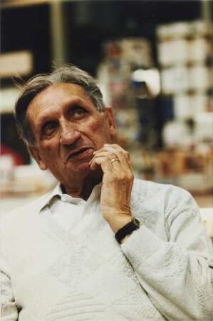 Hansgeorg Stengel