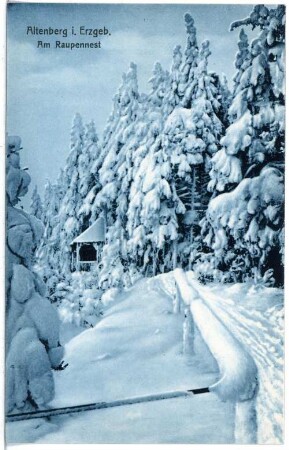 Altenberg. Winteraufnahme - Am Raupennest