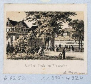 Die Schillerlinde und der Gedenkstein an den Dichter Friedrich Schiller im Garten der Gaststätte "Schillergarten" an der Elbe in Blasewitz bei Dresden