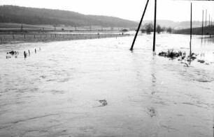 Grüningen: Hochwasser der Brigach bei Grüningen, überschwemmte Wiesen