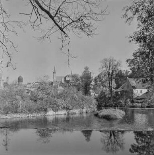 Bautzen vom Spreetal 3 Linden : Bautzen. Blick über die Spree zur Stadt