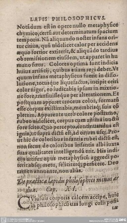 De practica lapidis philosophici minus ardua. Cap. XI.