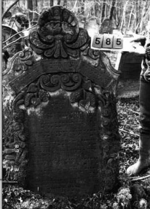Grabstein 585 (Index: 99753080) Material: Sandstein Zustand: leicht verwittert Maße HxBxT: 160x101x18 cm Beschreibung: Stele, geschwungen eingezog. Rundbogenabschl. , Schriftfeld eingetieft Symbolik: Pinienzapfen, Ranken, Muscheln, Voluten, Schriftband Besonderheit: Zitat angelehnt an Deuteronomium 34, 5: Grabstein 585
