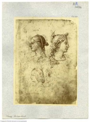 "Libretto di Raffaello", Weibliche Kopfstudien