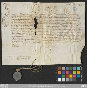 [Halle (Saale), Universitäts- und Landesbibliothek Sachsen-Anhalt, Morbio 31 (13)]