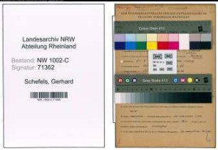 Entnazifizierung Gerhard Schefels, geb. 21.08.1903 (Ingenieur)