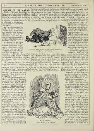 Keeping the Home Rule fires burning; King Arson