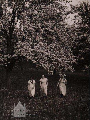 Frühling : Drei Frauen unter blühenden Obstbäumen im Frühling