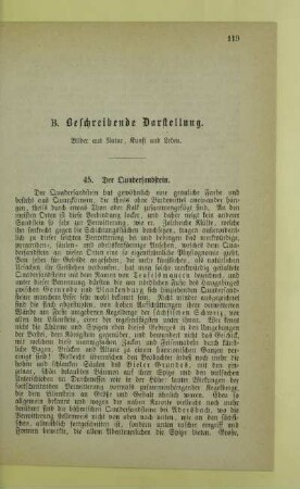 B. Beschreibende Darstellung. Bilder aus Natur, Kunst und Leben