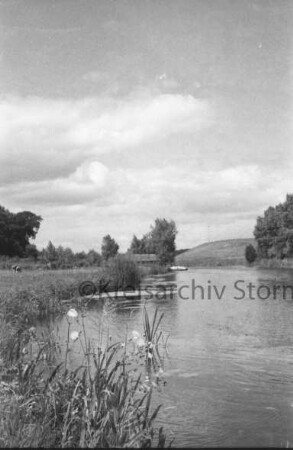Reinbek: Mühlenteich: vorn links Binsen: dahinter Weide mit Rindern: hinten Mitte Gebäude und Steg: hinten Bäume und Wiese