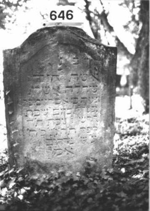 Grabstein 646 (Index: 99900607) Material: Sandstein Zustand: am oberen Rand Abbrüche, verwittert Maße HxBxT: 100x69x8 cm Beschreibung: Stele mit Konvexbogenabschluss: Grabstein 646