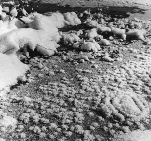 Winterbilder. Restschnee