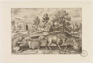 Affe, Igel; Fuchs, Kuh und Dachse aus (Animalium Qvaddrupedum)