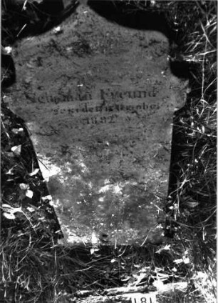 Grabstein 181 (Index: 99897880) Zustand: liegend: Grabstein 181