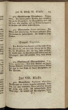 Zur VIII. Klasse. - Zur XIV. Klasse.