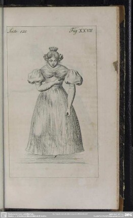 Seite 130. Fig. XXVII