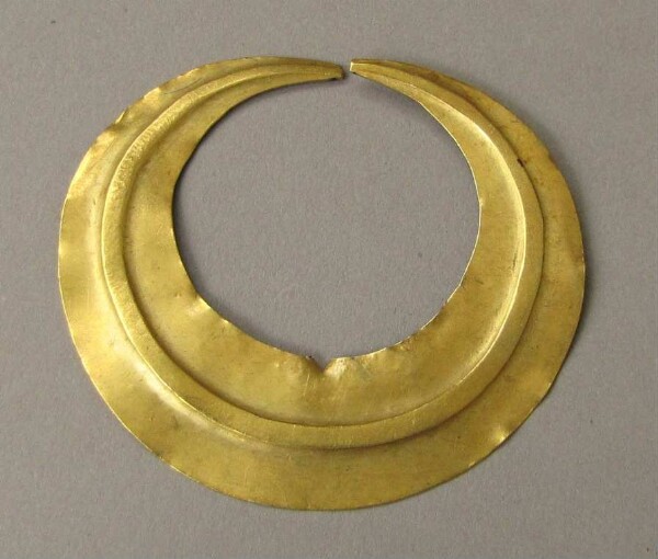 Goldnasenring