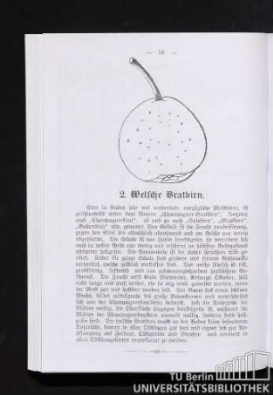 2. Welsche Bratbirn.